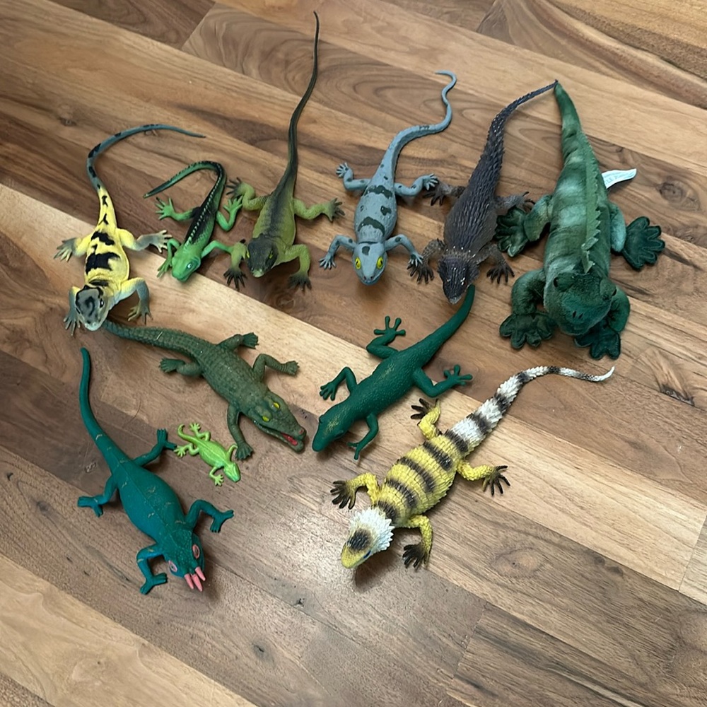 ** Lizard lovers